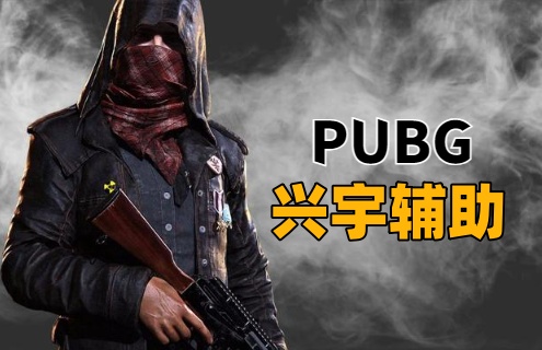 绝地求生兴宇辅助